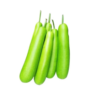 Lauki | Bottle Gourd | Dudhi 