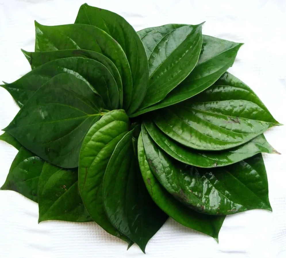 Betel Leaves(2pcs)