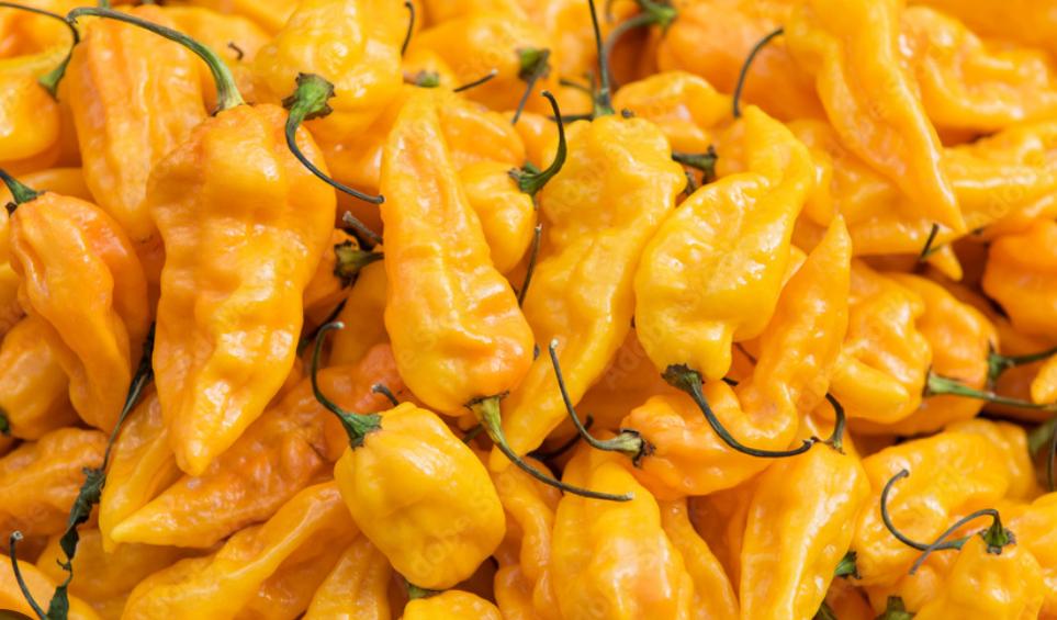 Surinaamse Geel Pepper