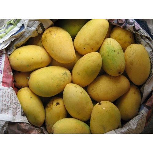 Badami Mango 1pc
