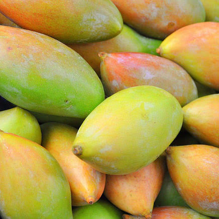 Thotapuri Mango 1pc